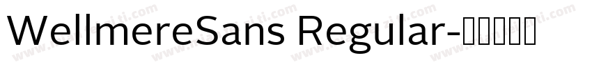 WellmereSans Regular字体转换